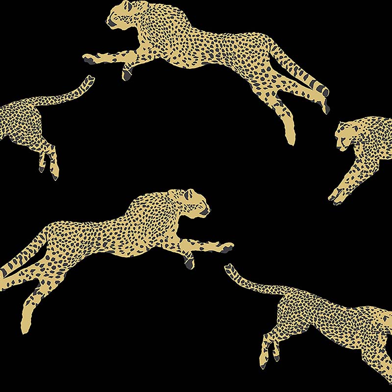 Leaping Cheetah