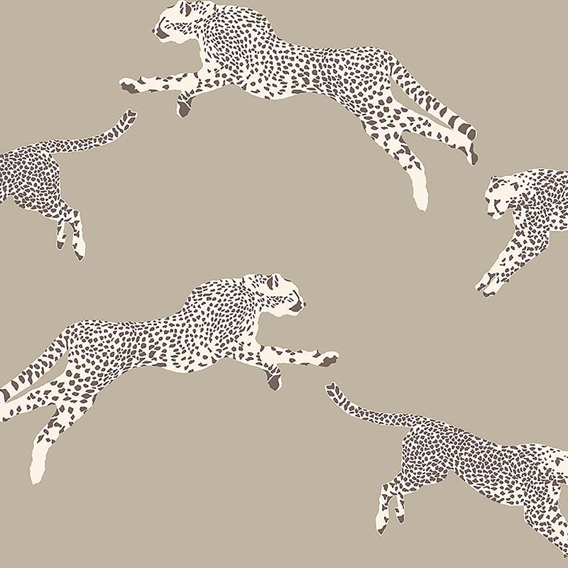 Leaping Cheetah
