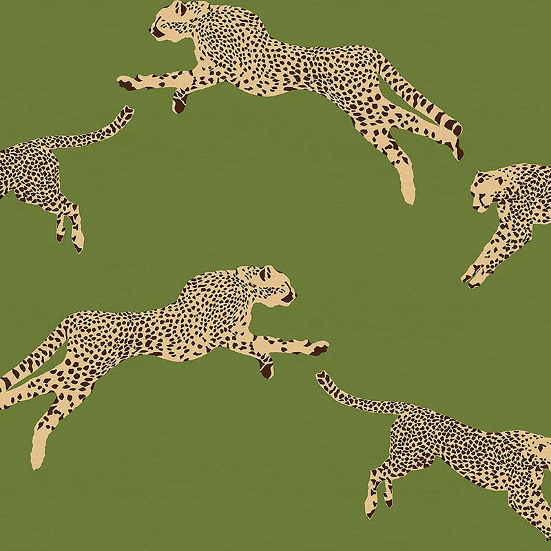 Leaping Cheetah