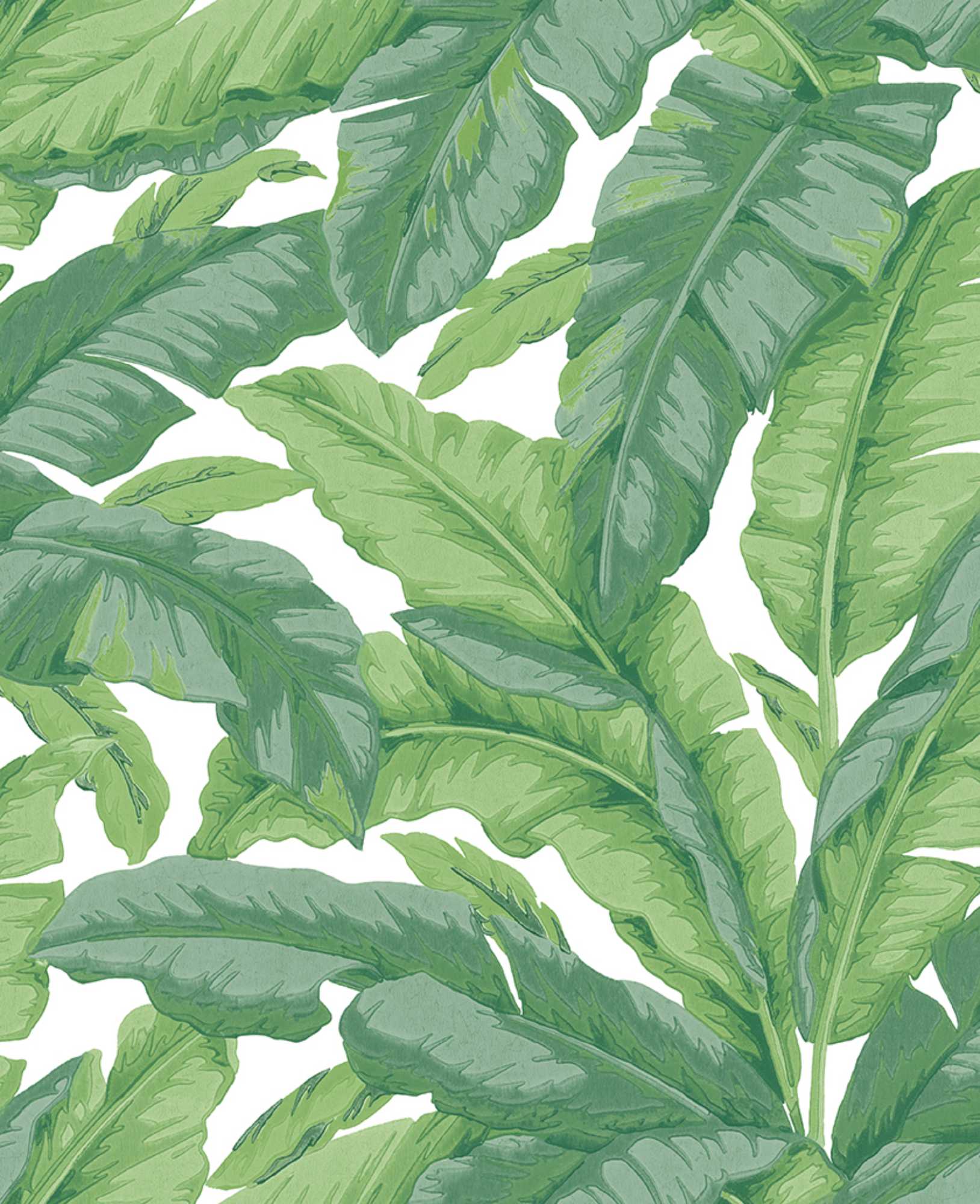 interior library - Banane 7227 J&V