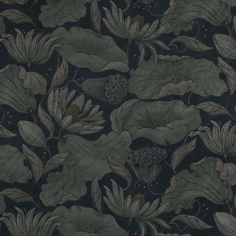 Wilde Lotus