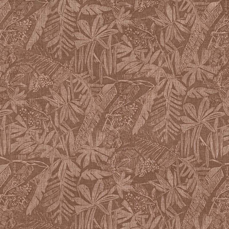 Botani
