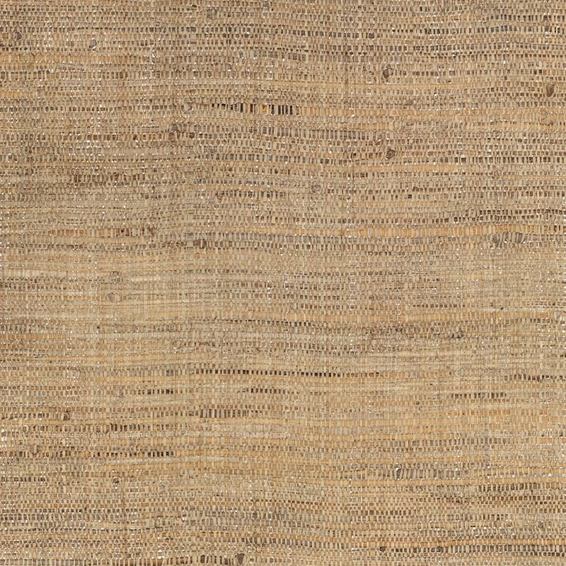 Banana Bark