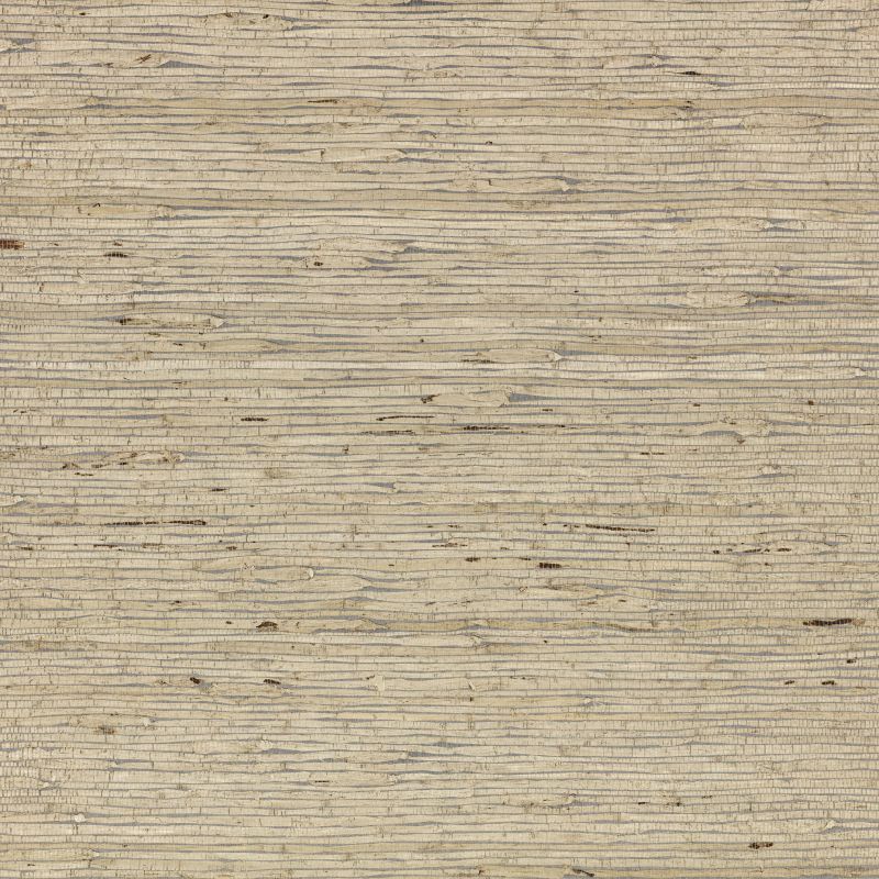 Arrowroot