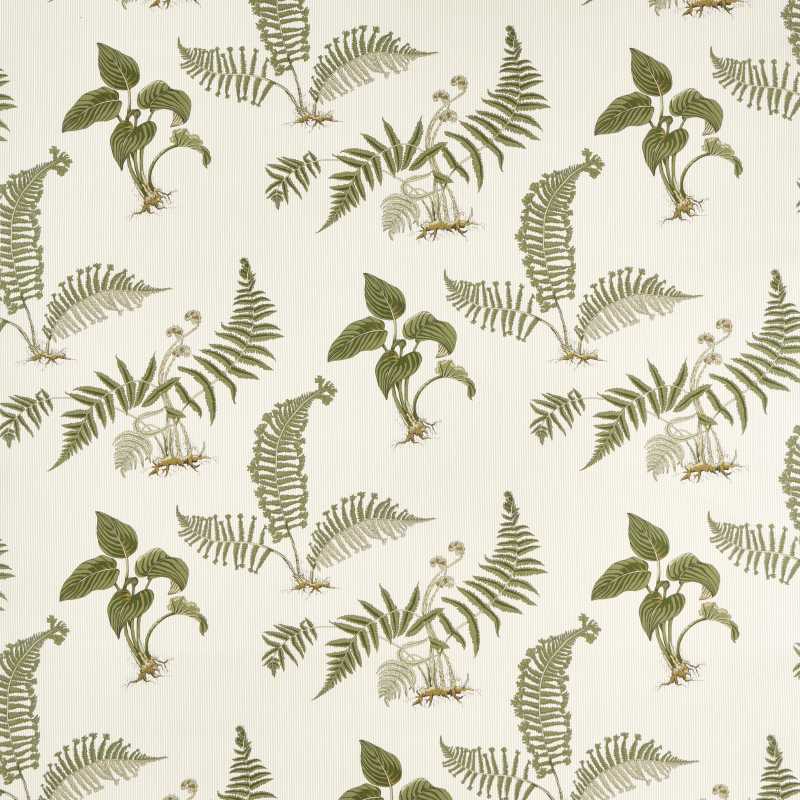 Hosta & Fern