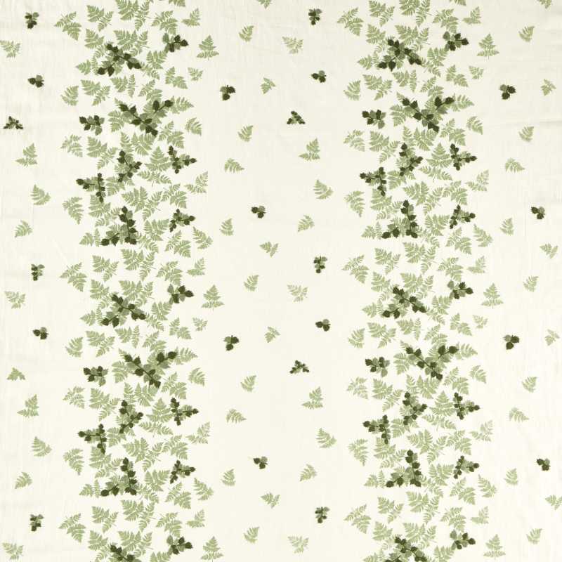 Alice's Fern