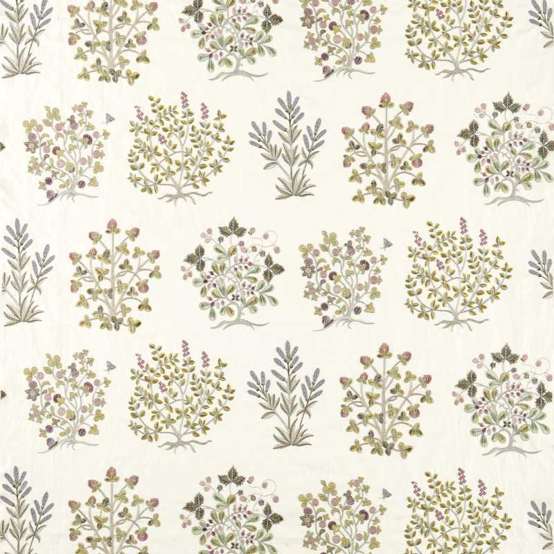 Thyme Walk