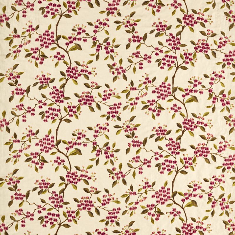 Damson Blossom