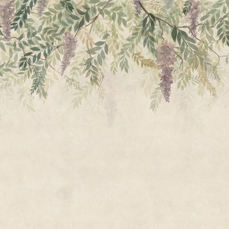 Wisteria