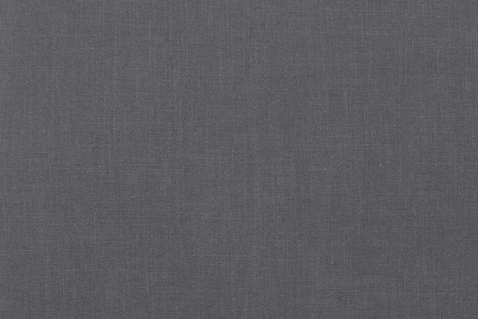 interior library - Paprika 7C WIND