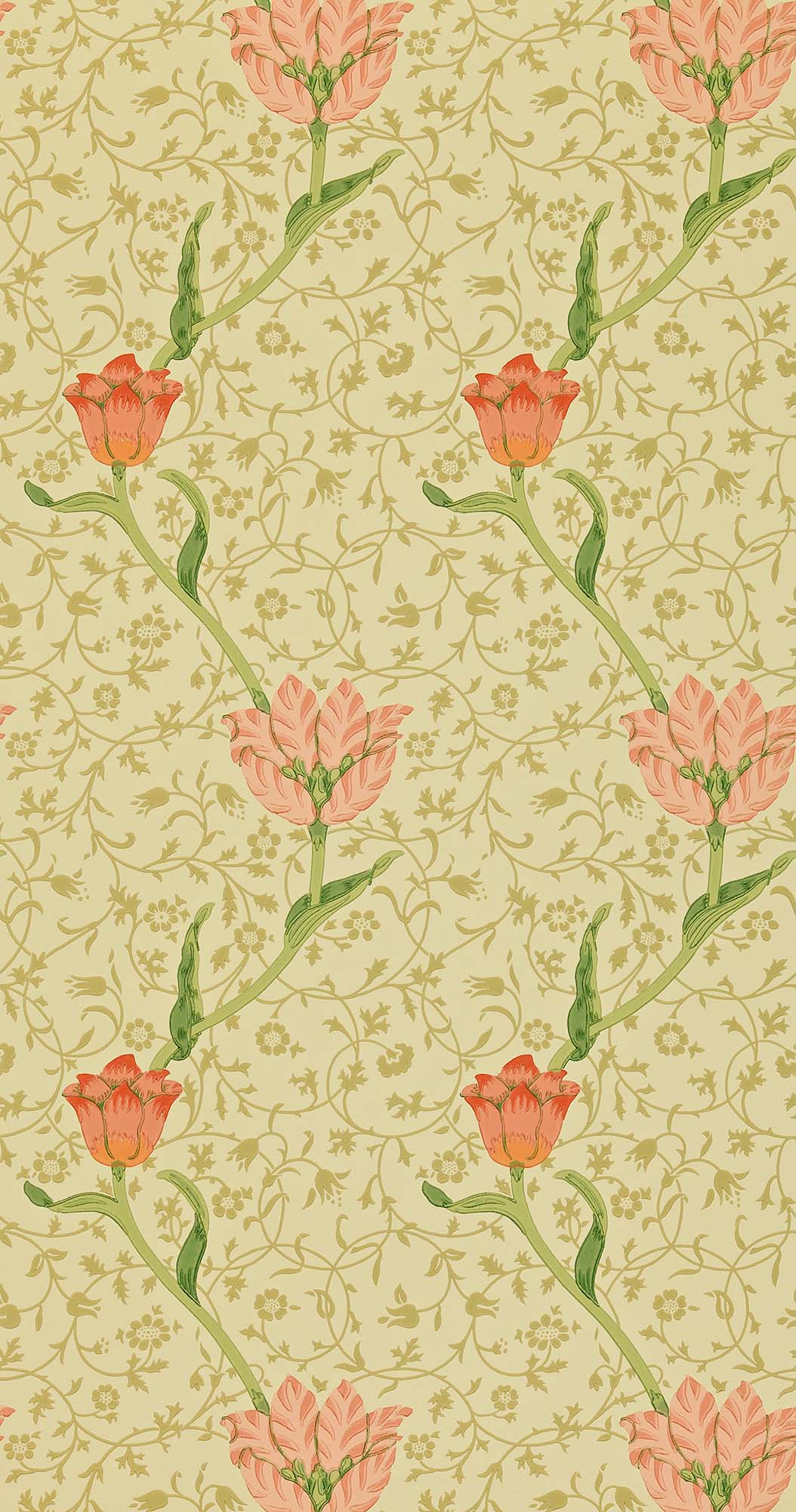 interior library - Garden Tulip WM8552-2 MORRIS&Co.