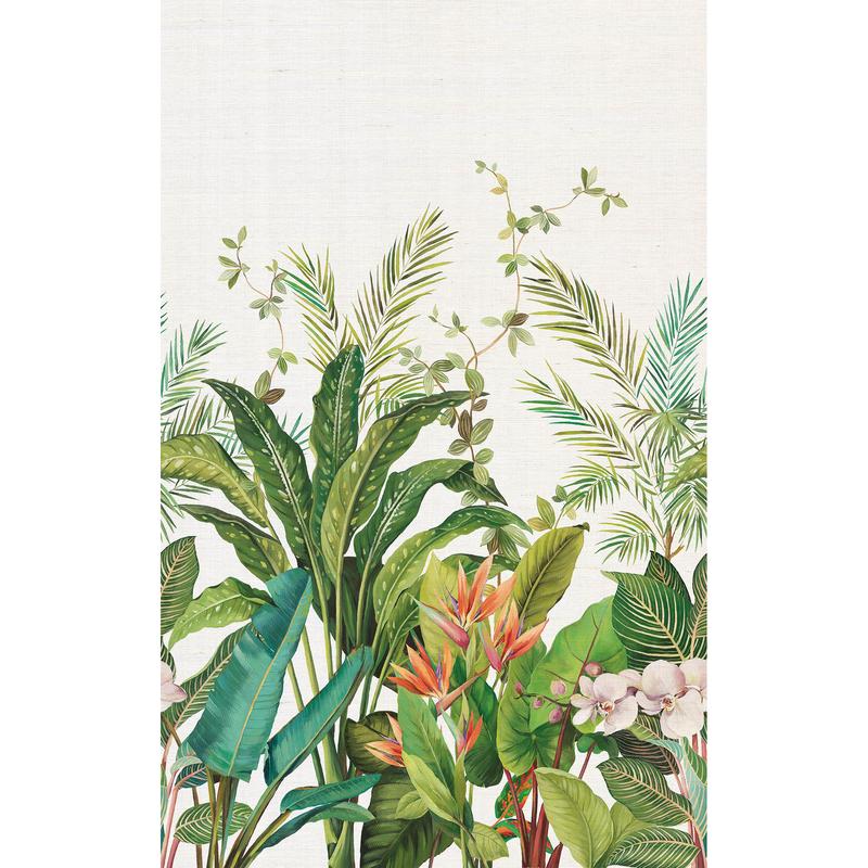 Bird of Paradise Mural