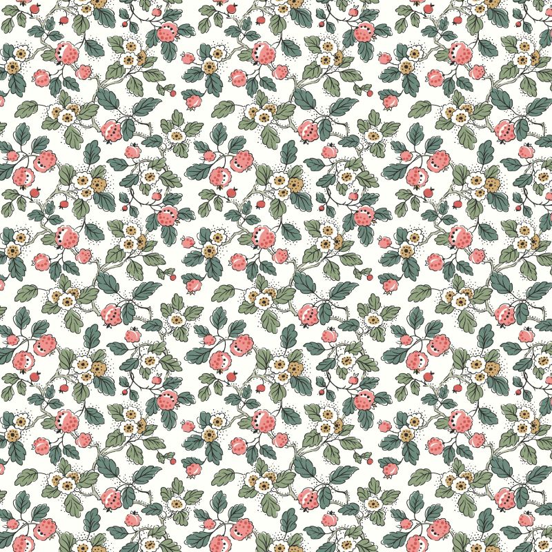 Framboise